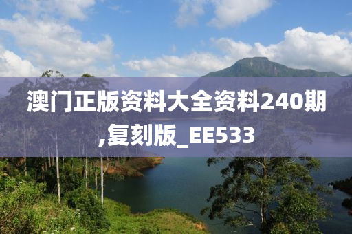澳门正版资料大全资料240期,复刻版_EE533