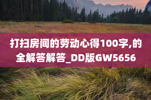 打扫房间的劳动心得100字,的全解答解答_DD版GW5656