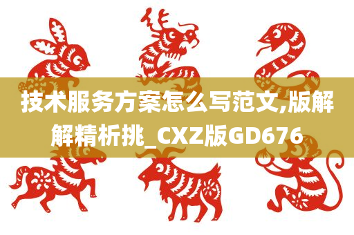 技术服务方案怎么写范文,版解解精析挑_CXZ版GD676