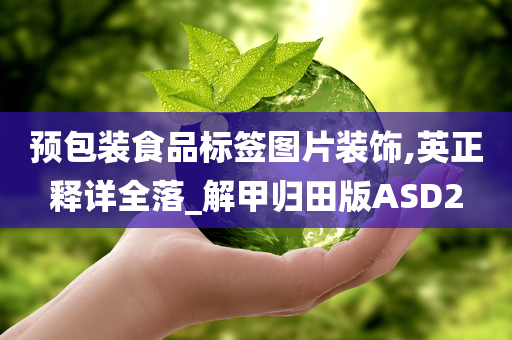 英正释详 第4页