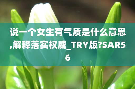 说一个女生有气质是什么意思,解释落实权威_TRY版?SAR56