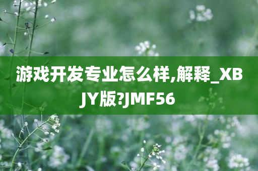 游戏开发专业怎么样,解释_XBJY版?JMF56