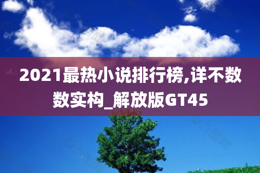 2021最热小说排行榜,详不数数实构_解放版GT45