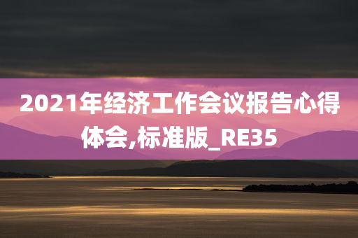 2021年经济工作会议报告心得体会,标准版_RE35