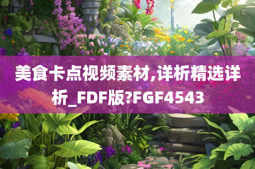 美食卡点视频素材,详析精选详析_FDF版?FGF4543