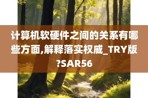 计算机软硬件之间的关系有哪些方面,解释落实权威_TRY版?SAR56