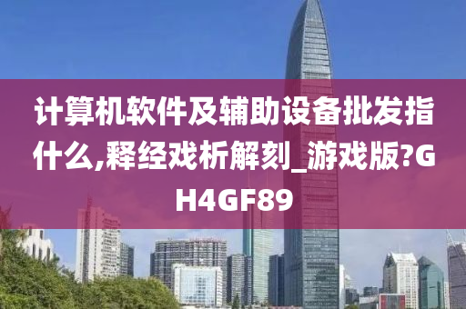计算机软件及辅助设备批发指什么,释经戏析解刻_游戏版?GH4GF89