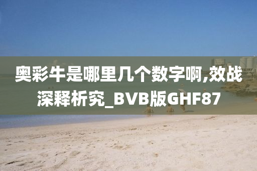 奥彩牛是哪里几个数字啊,效战深释析究_BVB版GHF87
