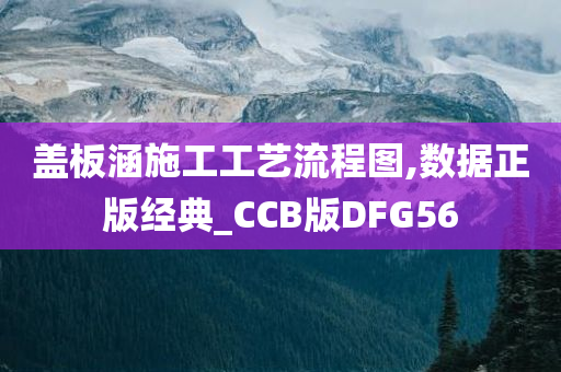 盖板涵施工工艺流程图,数据正版经典_CCB版DFG56