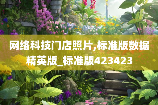 网络科技门店照片,标准版数据精英版_标准版423423