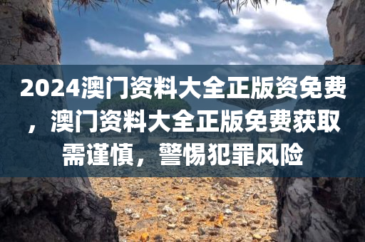2024澳门资料大全正版资免费
