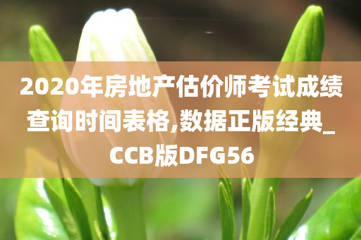 2020年房地产估价师考试成绩查询时间表格,数据正版经典_CCB版DFG56