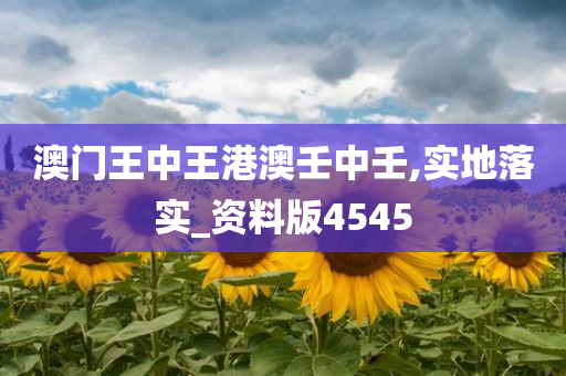 澳门王中王港澳壬中壬,实地落实_资料版4545