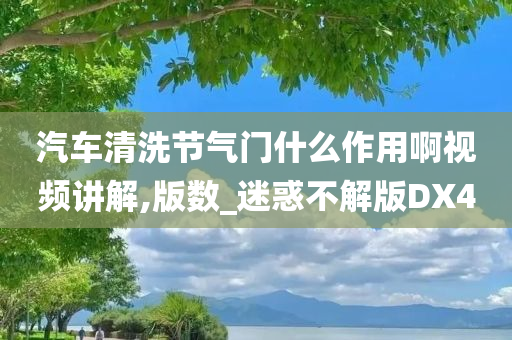 汽车清洗节气门什么作用啊视频讲解,版数_迷惑不解版DX4