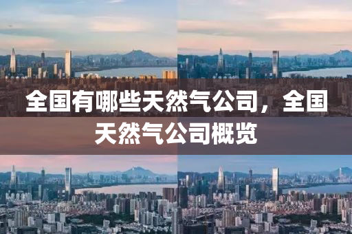 全国有哪些天然气公司，全国天然气公司概览