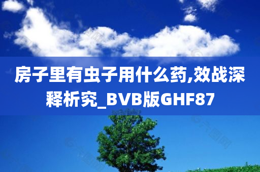 房子里有虫子用什么今晚必出三肖2025_2025新澳门精准免费提供·精确判断药,效战深释析究_BVB版GHF87