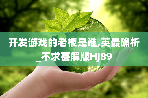 开发游戏的老板是谁,英最确析_不求甚解版HJ89