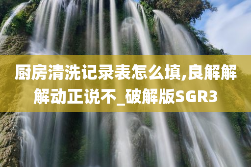 厨房清洗记录表怎么填,良解解解动正说不_破解版SGR3