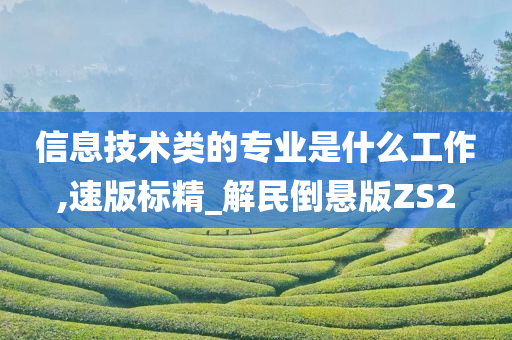 信息技术类的专业是什么工作,速版标精_解民倒悬版ZS2