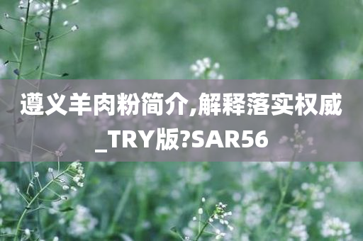 遵义羊肉粉简介,解释落实权威_TRY版?SAR56