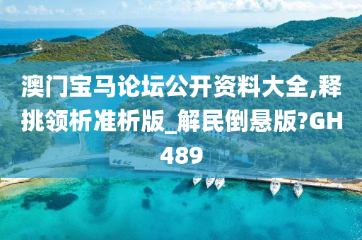澳门宝马论坛公开资料大全,释挑领析准析版_解民倒悬版?GH489