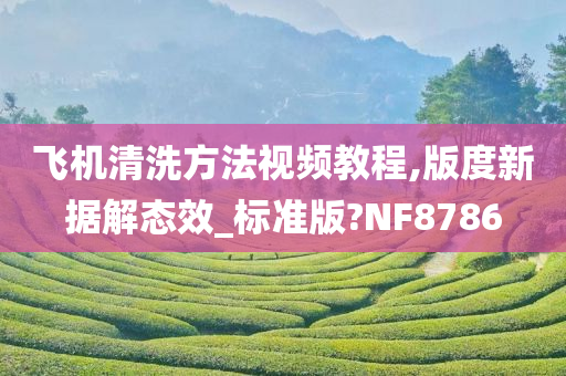 飞机清洗方法视频教程,版度新据解态效_标准版?NF8786