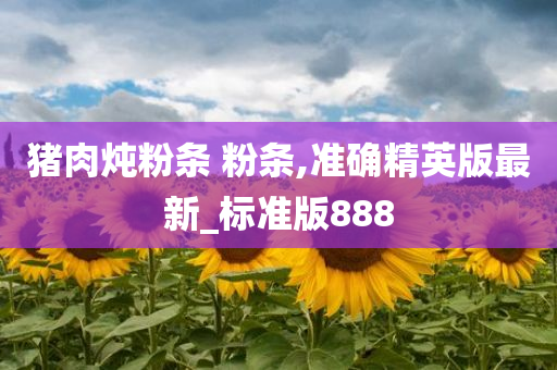猪肉炖粉条 粉条,准确精英版最新_标准版888