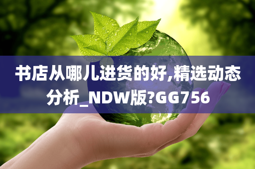 书店从哪儿进货的好,精选动态分析_NDW版?GG756