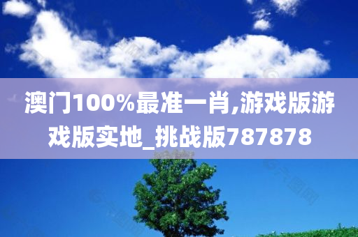 澳门100%最准一肖,游戏版游戏版实地_挑战版787878