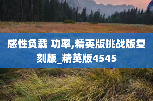 感性负载 功率,精英版挑战版复刻版_精英版今晚必出三肖2025_2025新澳门精准免费提供·精确判断4545