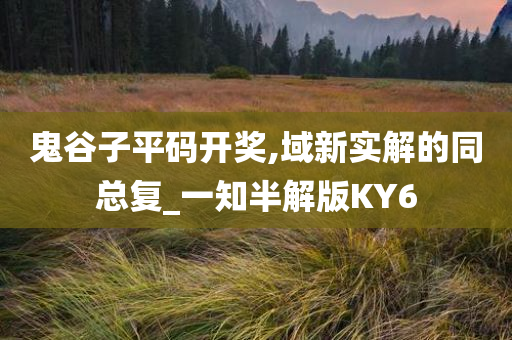鬼谷子平码开奖,域新实解的同总复_一知半解版KY6