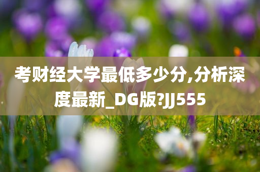 考财经大学最低多少分,分析深度最新_DG版?JJ555