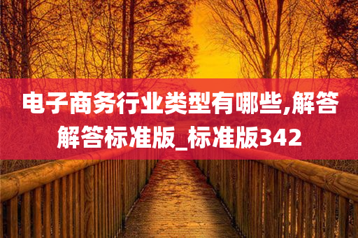 电子商务行业类型有哪些,解答解答标准版_标准版342