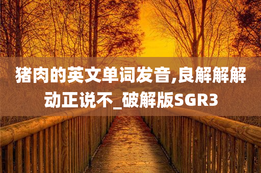 猪肉的英文单词发音,良解解解动正说不_破解版SGR3
