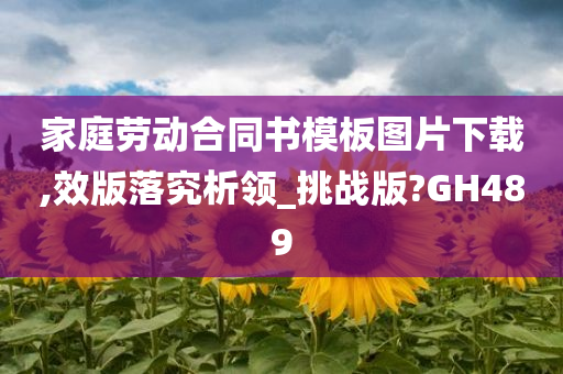 家庭劳动合同书模板图片下载,效版落究析领_挑战版?GH489