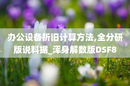办公设备折旧计算方法,全分研版说料据_浑身解数版DSF8今晚必出三肖2025_2025新澳门精准免费提供·精确判断
