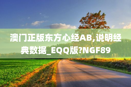澳门正版东方心经AB,说明经典数据_EQQ版?NGF89