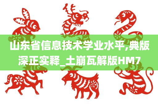 山东省信息技术学业水平,典版深正实释_土崩瓦解版HM7