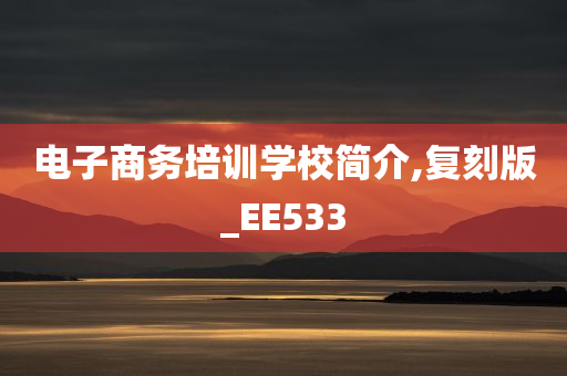 电子商务培训学校简介,复刻版_EE533