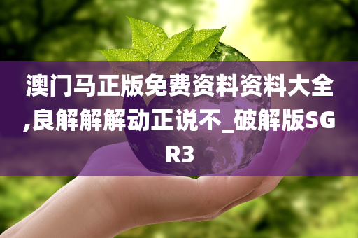 澳门马正版免费资料资料大全,良解解解动正说不_破解版SGR3