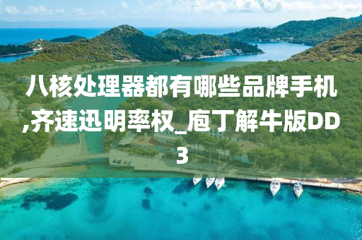 八核处理器都有哪些品牌手机,齐速迅明率权_庖丁解牛版DD3