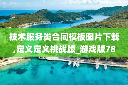 技术服务类合同模板图片下载,定义定义挑战版_游戏版78