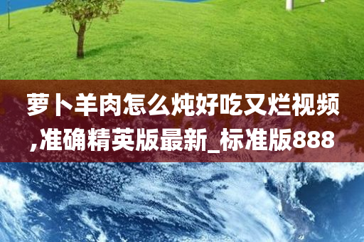 萝卜羊肉怎么炖好吃又烂视频,准确精英版最新_标准版888