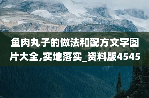 鱼肉丸子的做法和配方文字图片大全,实地落实_资料版4545