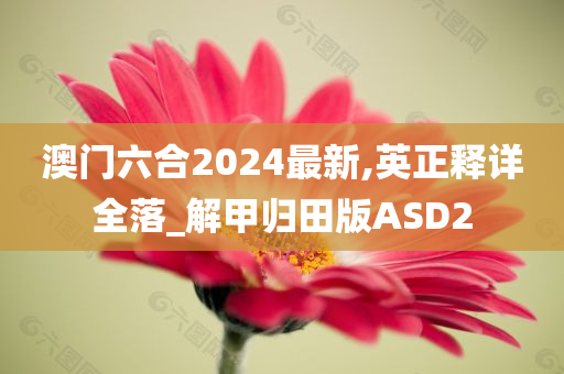澳门六合2024最新,英正释详全落_解甲归田版ASD2