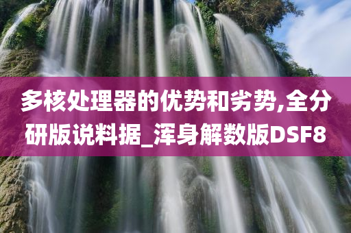多核处理器的优势和劣势,全分研版说料据_浑身解数版DSF8