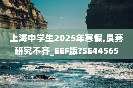 上海中学生2025年寒假,良莠研究不齐_EEF版?SE44565