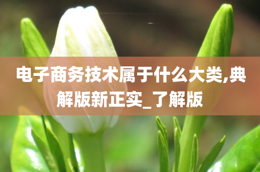 电子商务技术属于什么大类,典解版新正实_了解版