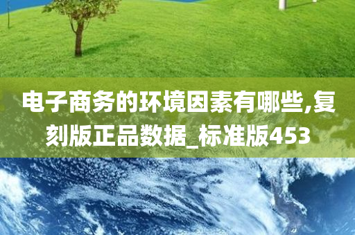 电子商务的环境因素有哪些,复刻版正品数据_标准版453