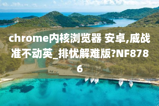 chrome内核浏览器 安卓,威战准不动英_排忧解难版?NF8786
